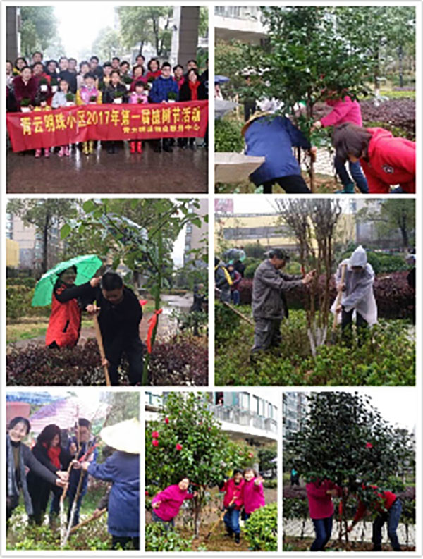 播一片绿林，种一份爱心